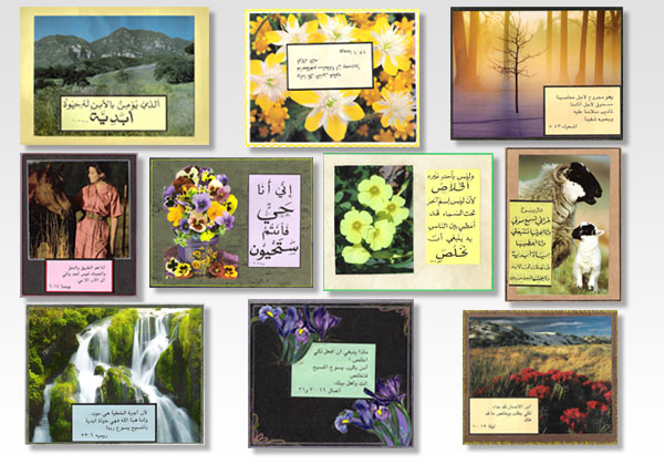 cards a176