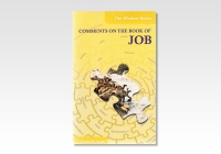 Job, Comments on